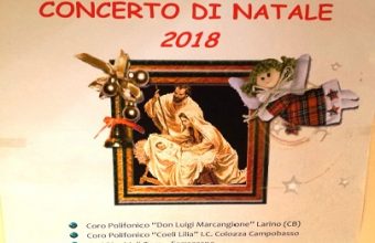 Concerto Cattedrale di Larino